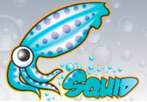Squid Cache Logo